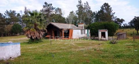 Monte alentejano, montargil