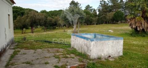 Monte alentejano, montargil