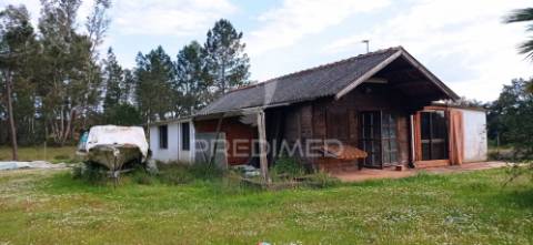 Monte alentejano, montargil