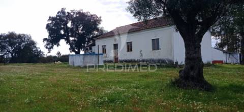 Monte alentejano, montargil