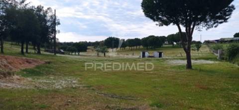 Monte alentejano, montargil