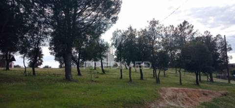 Monte alentejano, montargil