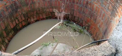 Monte alentejano, montargil