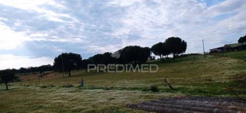 Monte alentejano, montargil