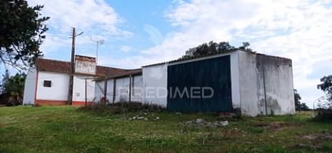 Monte alentejano, montargil
