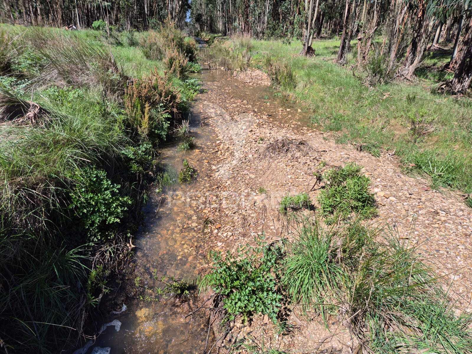 Terreno rústico no alentejo – natureza, tranquilidade e potencial de construção