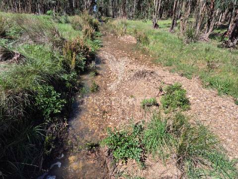 Terreno rústico no alentejo – natureza, tranquilidade e potencial de construção