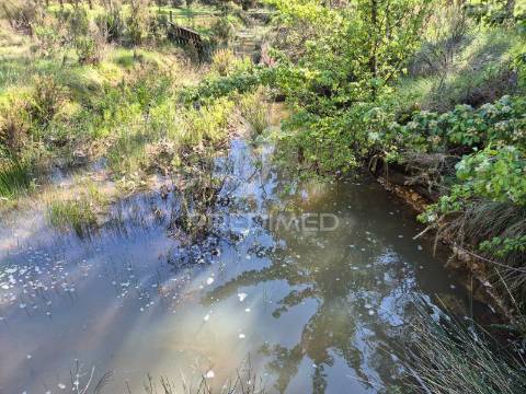 Terreno rústico no alentejo – natureza, tranquilidade e potencial de construção