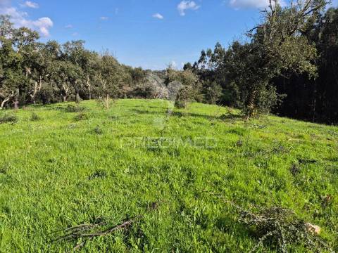 Terreno rústico no alentejo – natureza, tranquilidade e potencial de construção