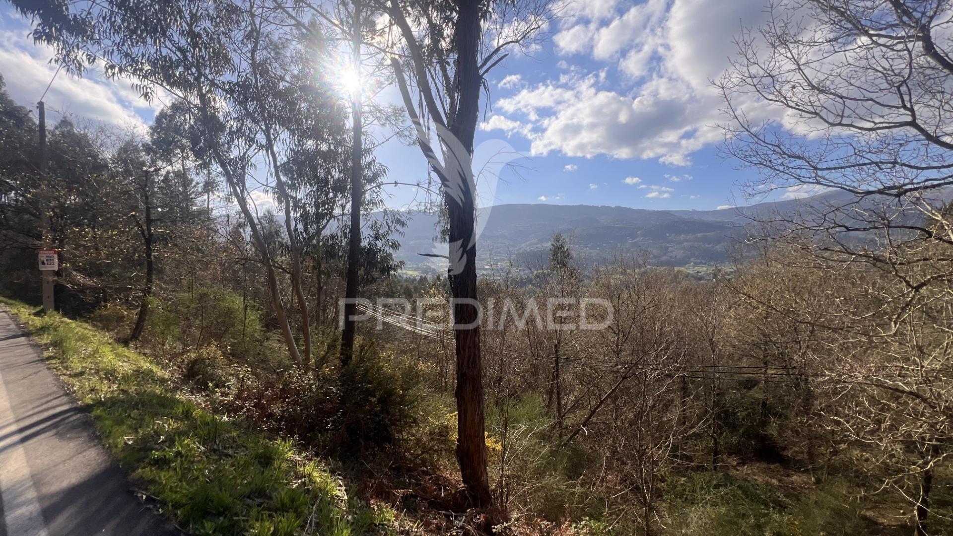 Terreno florestal com 9.938 m² | sá, arcos de valdevez