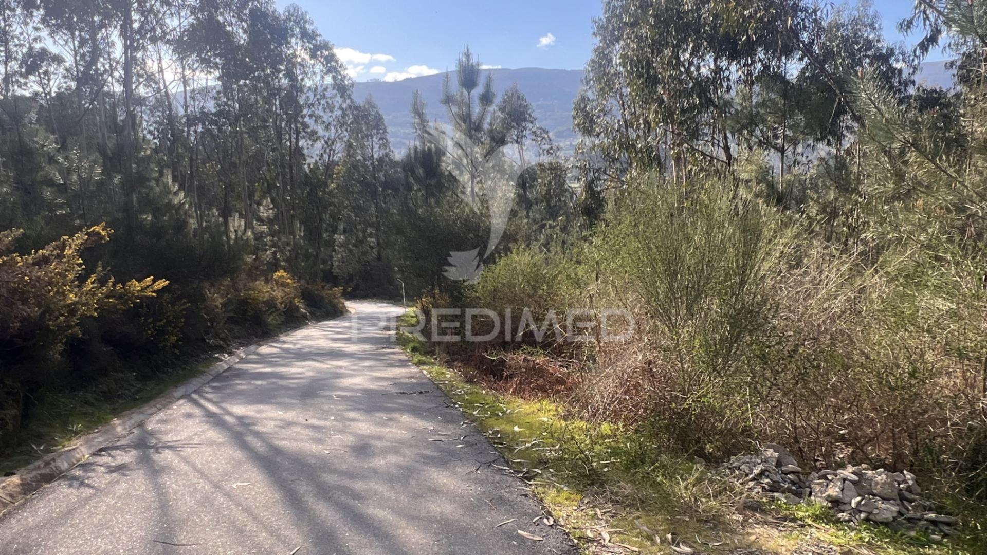 Terreno florestal com 9.938 m² | sá, arcos de valdevez