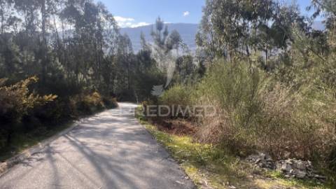 Terreno florestal com 9.938 m² | sá, arcos de valdevez