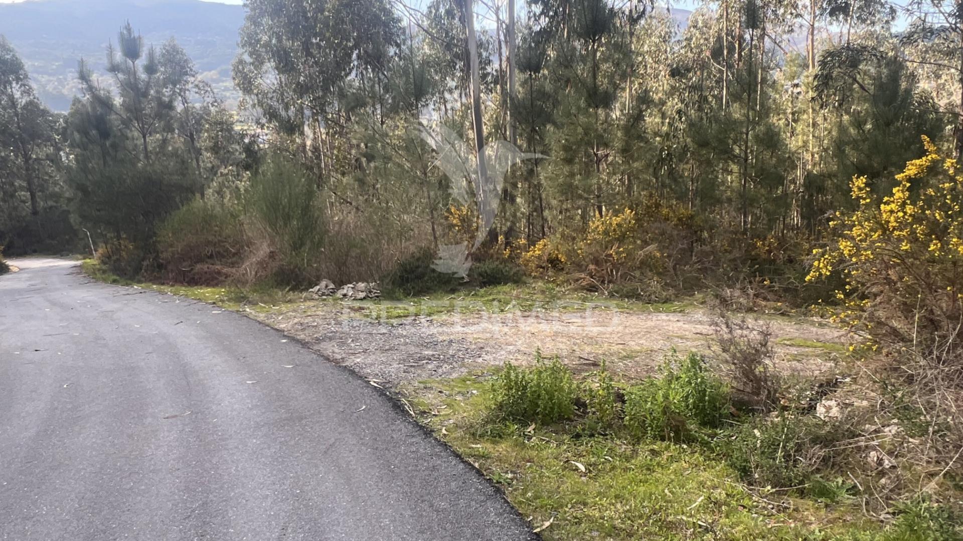 Terreno florestal com 9.938 m² | sá, arcos de valdevez