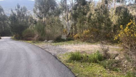 Terreno florestal com 9.938 m² | sá, arcos de valdevez