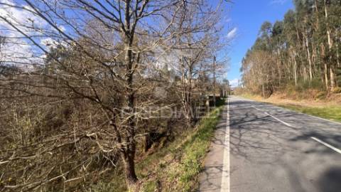 Terreno florestal com 9.938 m² | sá, arcos de valdevez