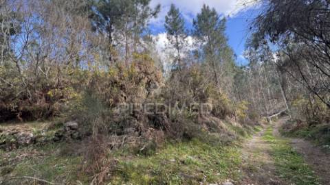 Terreno florestal com 9.938 m² | sá, arcos de valdevez