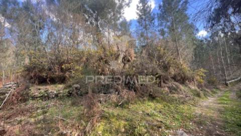 Terreno florestal com 9.938 m² | sá, arcos de valdevez