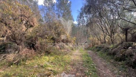 Terreno florestal com 9.938 m² | sá, arcos de valdevez