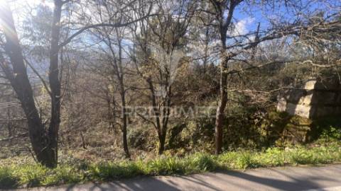 Terreno florestal com 9.938 m² | sá, arcos de valdevez