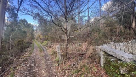 Terreno florestal com 9.938 m² | sá, arcos de valdevez