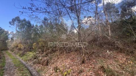 Terreno florestal com 9.938 m² | sá, arcos de valdevez