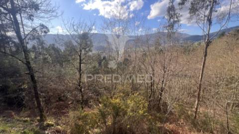 Terreno florestal com 9.938 m² | sá, arcos de valdevez