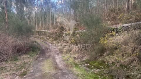 Terreno florestal com 9.938 m² | sá, arcos de valdevez