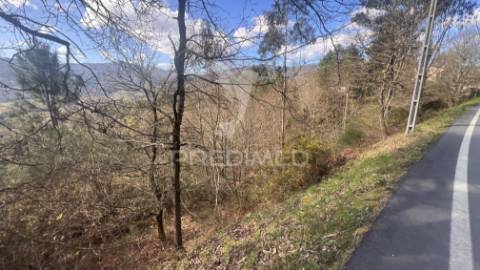 Terreno florestal com 9.938 m² | sá, arcos de valdevez