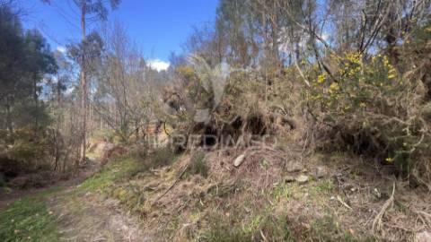 Terreno florestal com 9.938 m² | sá, arcos de valdevez