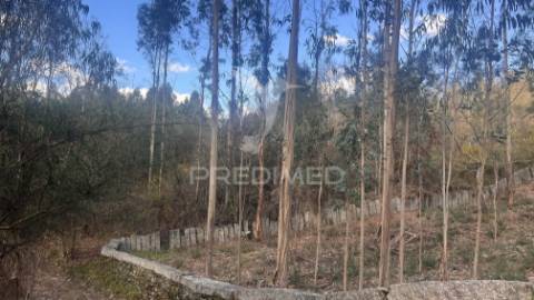 Terreno florestal com 9.938 m² | sá, arcos de valdevez