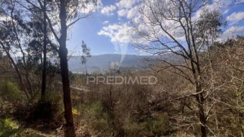Terreno florestal com 9.938 m² | sá, arcos de valdevez