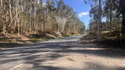Terreno florestal com 9.938 m² | sá, arcos de valdevez