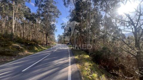 Terreno florestal com 9.938 m² | sá, arcos de valdevez