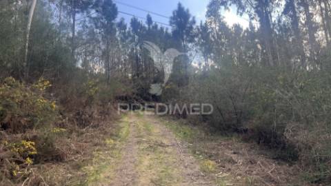 Terreno florestal com 9.938 m² | sá, arcos de valdevez