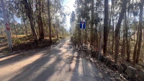 Terreno florestal com 9.938 m² | sá, arcos de valdevez