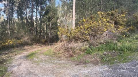 Terreno florestal com 9.938 m² | sá, arcos de valdevez