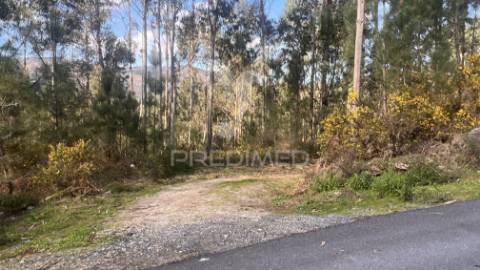 Terreno florestal com 9.938 m² | sá, arcos de valdevez