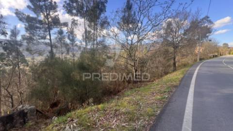 Terreno florestal com 9.938 m² | sá, arcos de valdevez