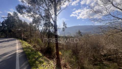 Terreno florestal com 9.938 m² | sá, arcos de valdevez