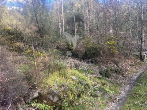 Terreno florestal com 9.938 m² | sá, arcos de valdevez