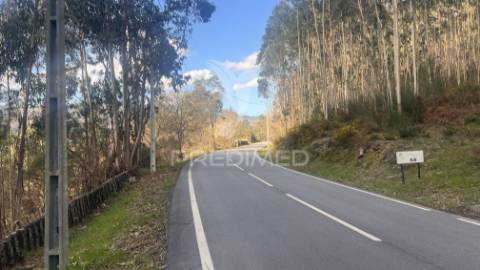 Terreno florestal com 9.938 m² | sá, arcos de valdevez