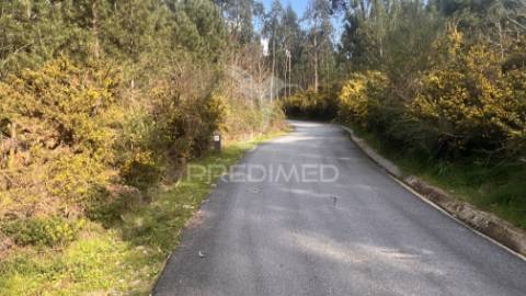 Terreno florestal com 9.938 m² | sá, arcos de valdevez