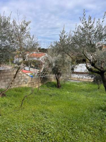 Oportunidade de investimento – moradia t4 para remodelação total na tolosa