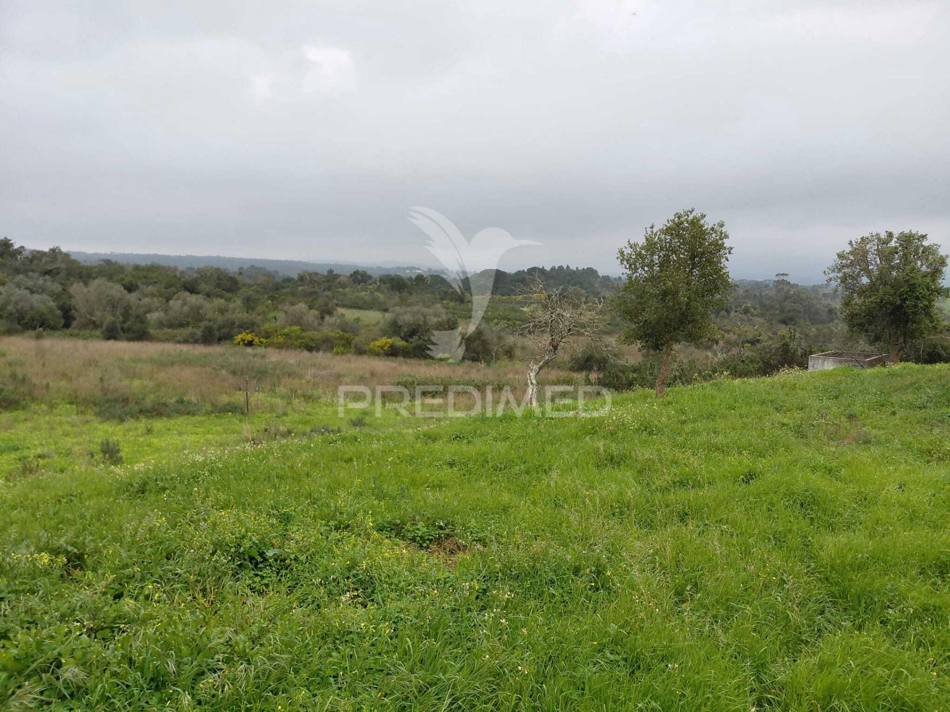 Monte alentejano com 5,6 hc,são francisco serra, santiago do cacém.