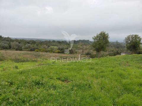 Monte alentejano com 5,6 hc,são francisco serra, santiago do cacém.