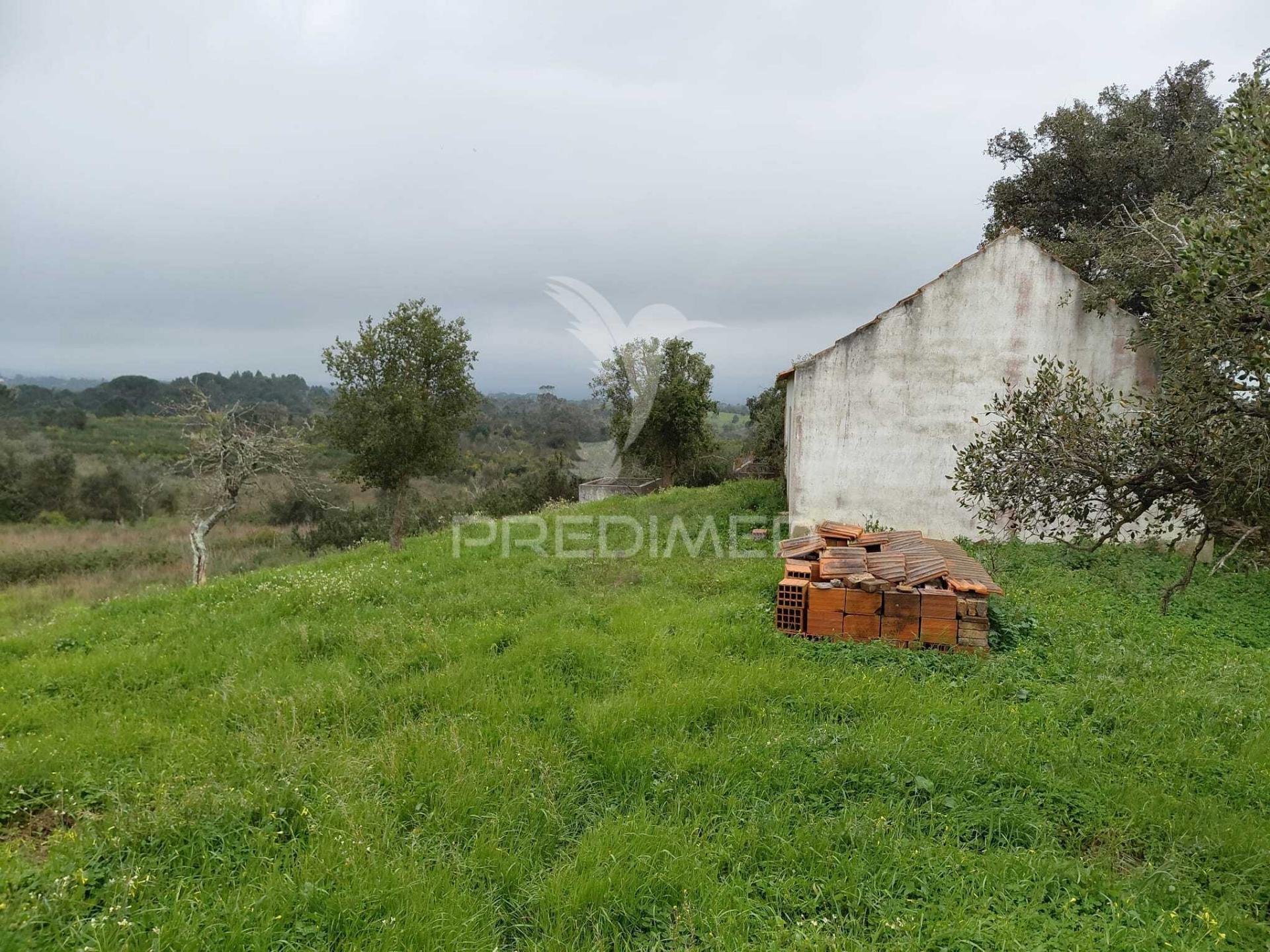 Monte alentejano com 5,6 hc,são francisco serra, santiago do cacém.