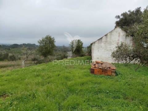 Monte alentejano com 5,6 hc,são francisco serra, santiago do cacém.