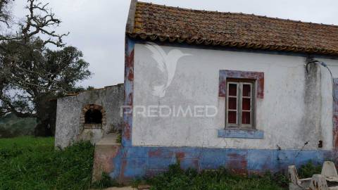 Monte alentejano com 5,6 hc,são francisco serra, santiago do cacém.