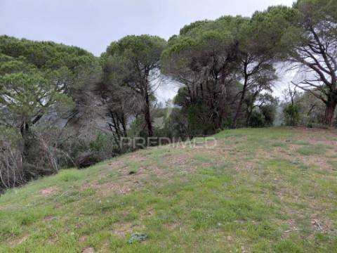 Monte alentejano com 5,6 hc,são francisco serra, santiago do cacém.
