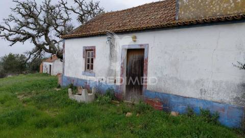 Monte alentejano com 5,6 hc,são francisco serra, santiago do cacém.